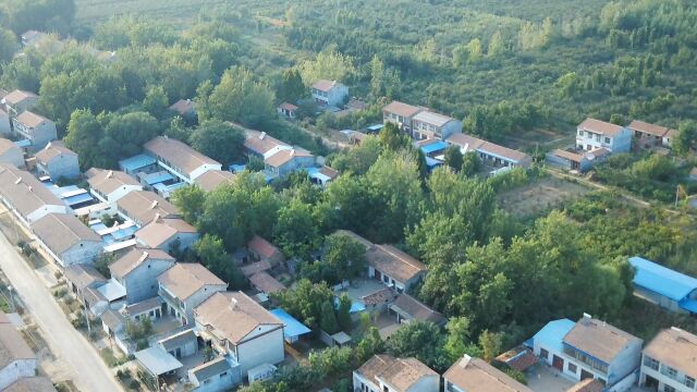 记录家乡的美 砀山 王井村