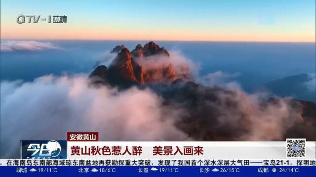 美不胜收!黄山秋色惹人醉,美景入画来