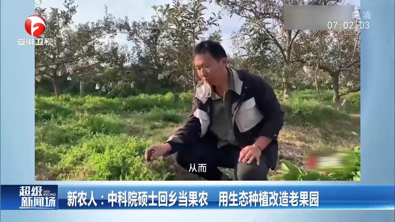 山东烟台:中科院硕士回乡当果农,用生态种植改造老果园