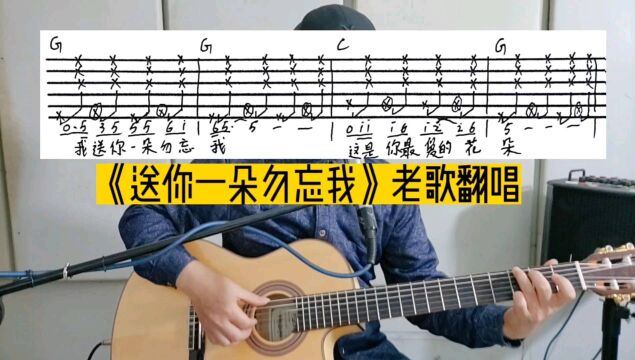 《送你一朵勿忘我》新手弹唱精选歌曲,重温经典拍弦伴奏特别推荐