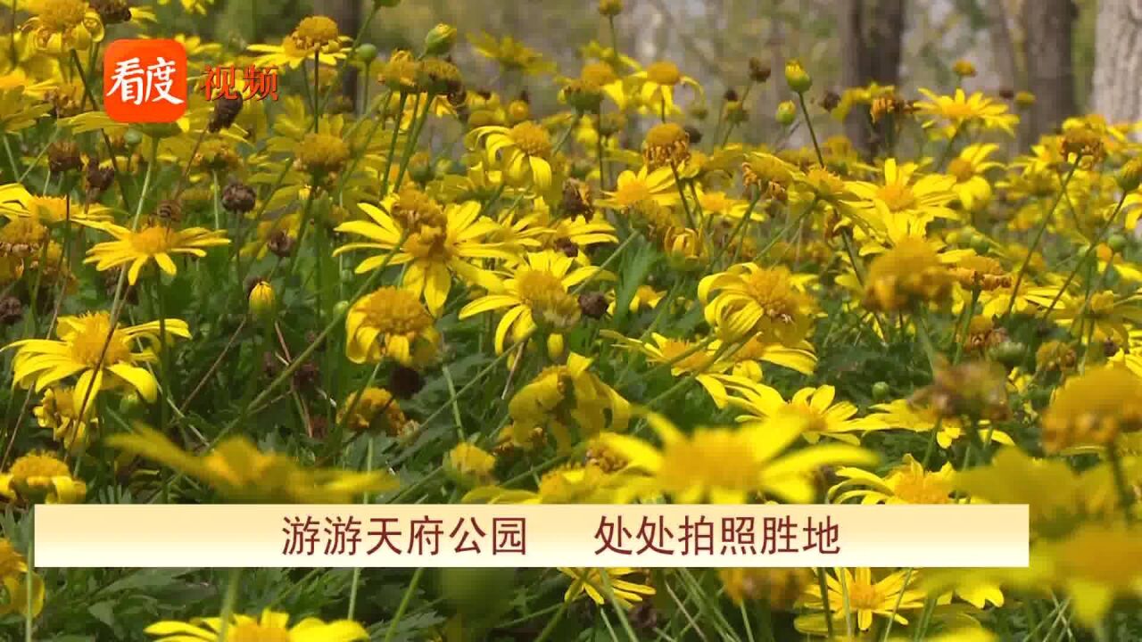 四川成都:游游天府公园,处处拍照胜地