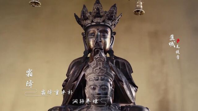 霜降 | 好柿成霜,福从天降!清秋祈福,跟我打卡~