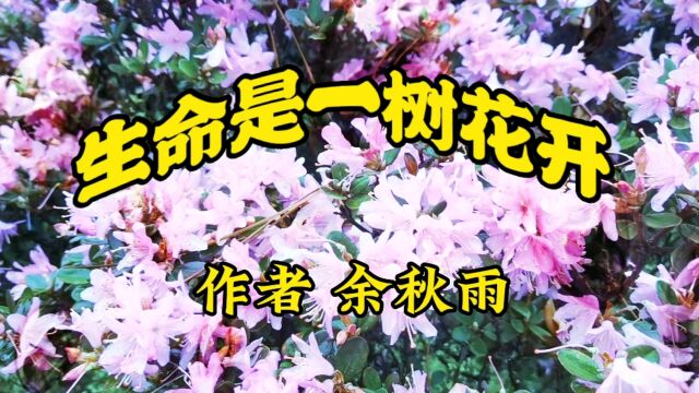 《生命是一树花开》余秋雨