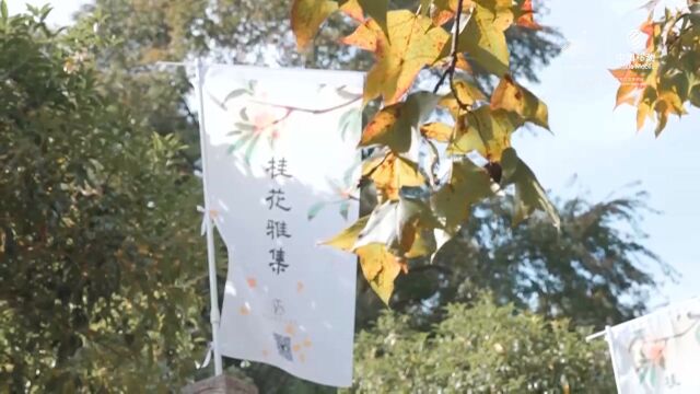 桂花龙井、桂花糖 满觉陇村上演了一场桂花雅集