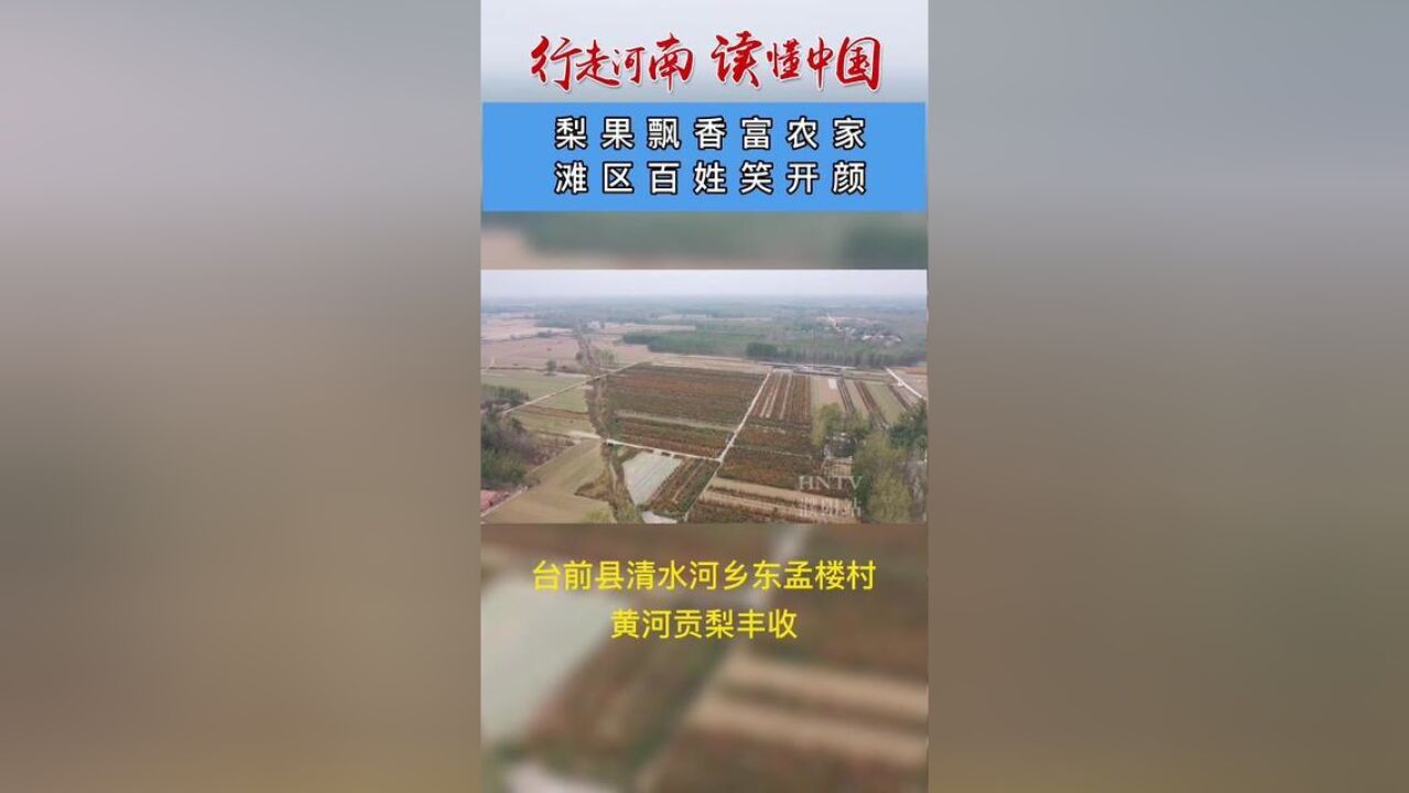 行走河南读懂中国梨果飘香富农家,滩区百姓笑开颜.