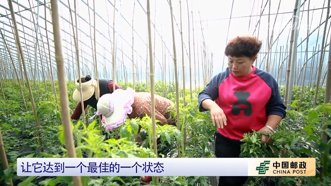 【中国三农报道】山东烟台:中国邮政数字化书屋进农家