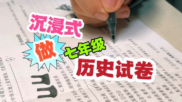 小鱼儿沉浸式做七年级历史试卷,写字声太解压,柴犬都听到睡着了