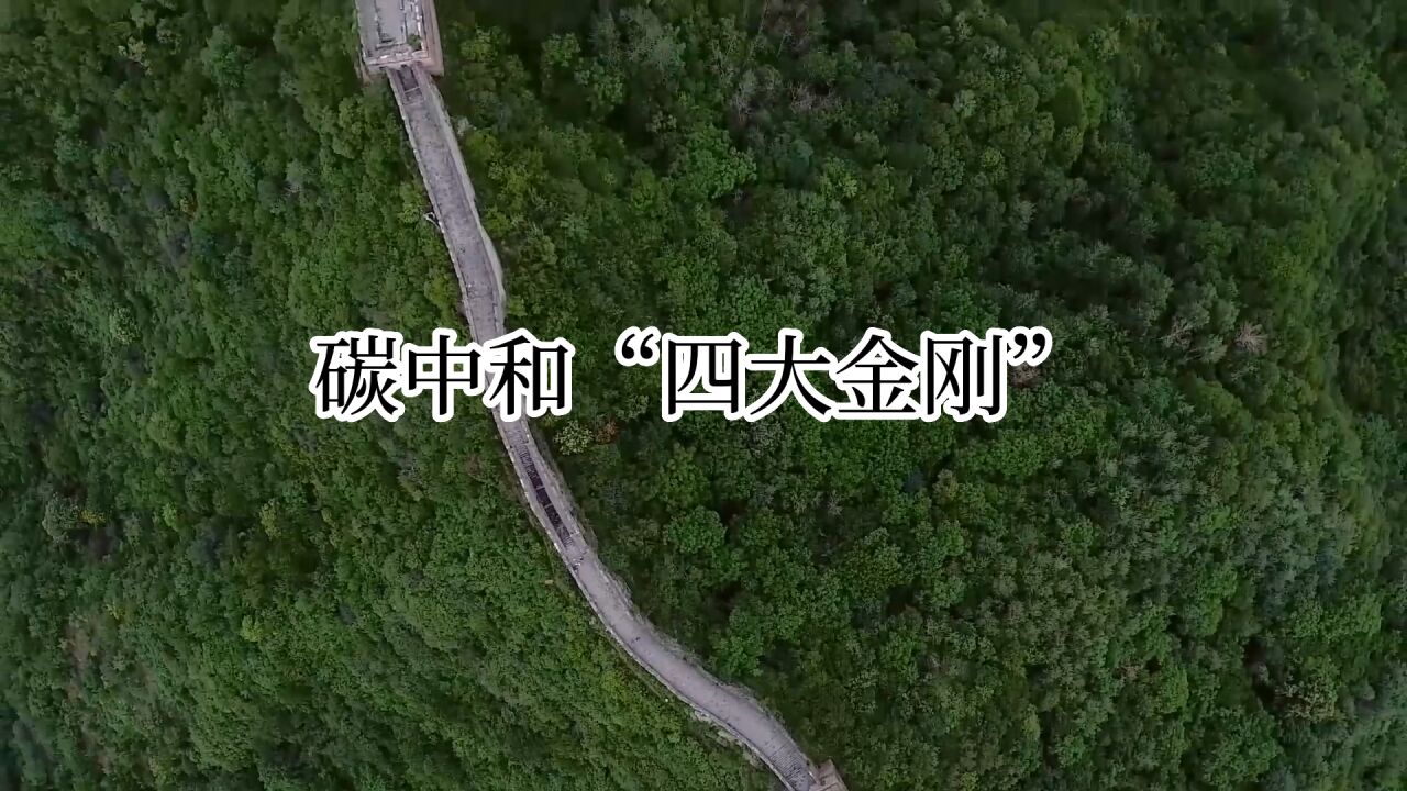 碳中和“四大金刚”