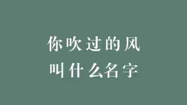 每一阵风在古代都有自己的名字,你吹过的风叫什么名字?