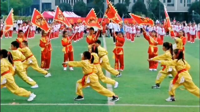 校园体育节武术操