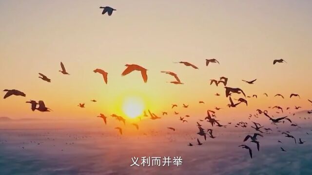 预告 | 大咖云集,巾帼科创相聚“浙”里——11月7日,这场长三角的高峰聚会在杭州举办