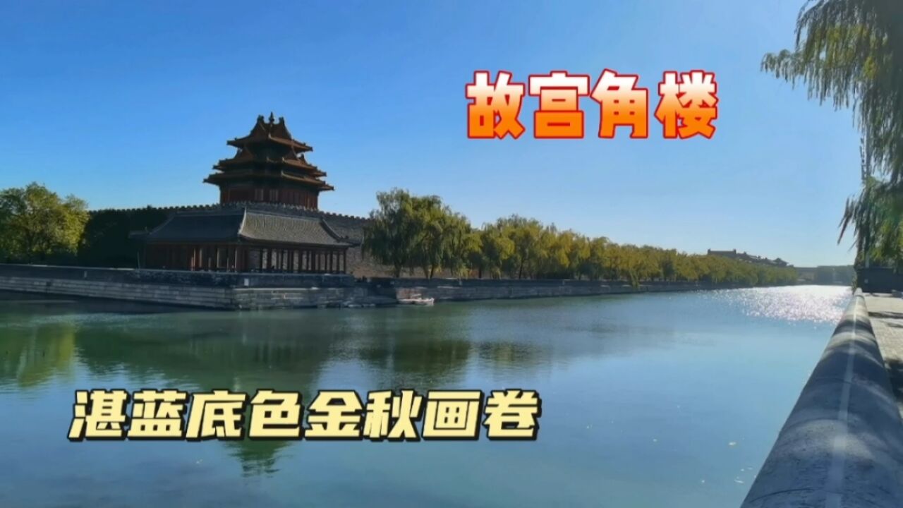 冬至吃饺子看美景,北京故宫角楼宛如金色画卷,美得让人无话可说!