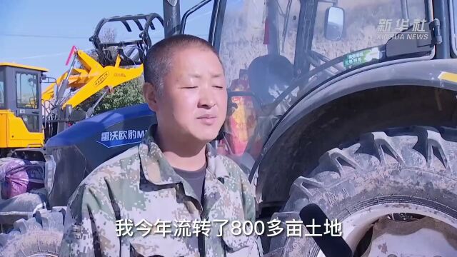 【央媒看陇西】甘肃陇西:16万亩冬小麦绿意盎然