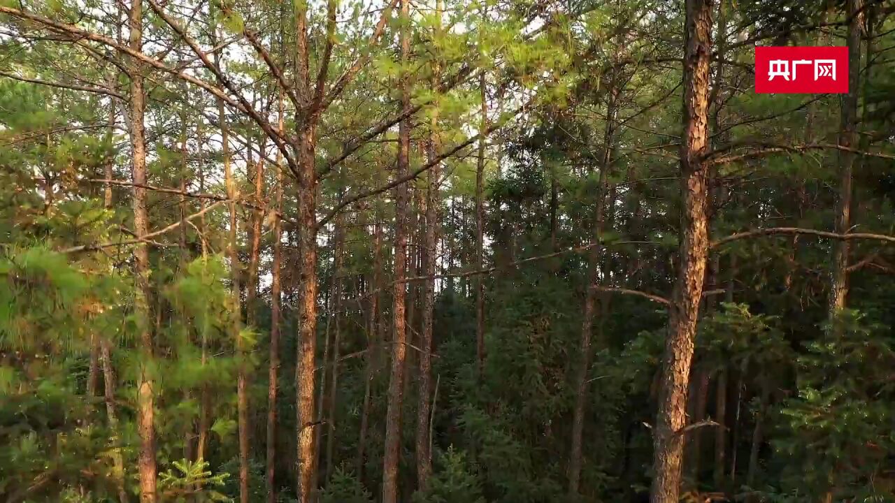 秋游|重庆忠县天池山:色彩斑斓 风景旖旎