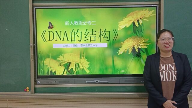 说课DNA的结构