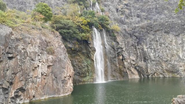 漫步辰山植物园,感受不一样的美