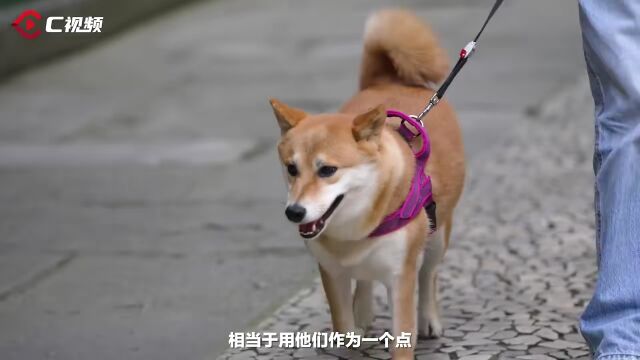 蓓蕾社区在城市更新中解码“安逸生活”