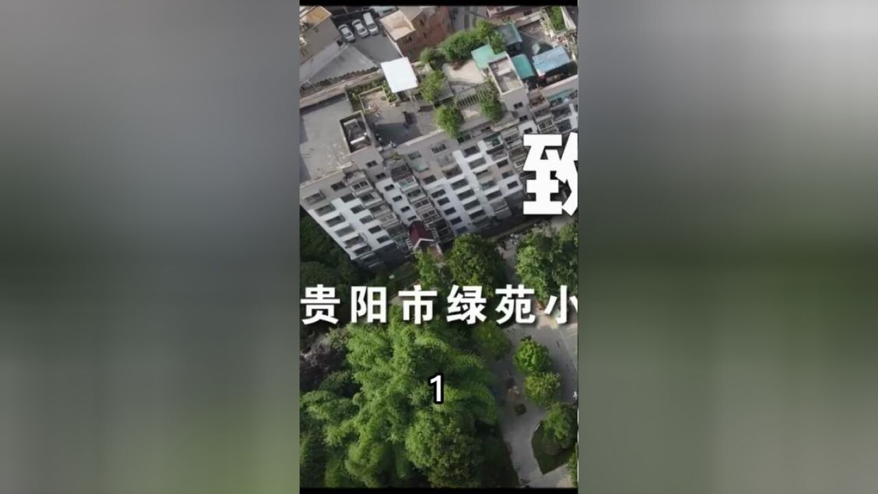 401起火,却造成501住户3死2伤,连猫都没能幸免.