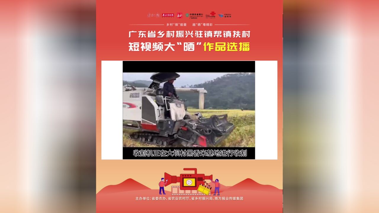 黑香米试种成功,时长共1分02秒