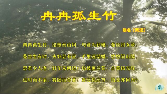 《古诗十九首ⷥ†‰冉孤生竹》:思君令人老,轩车来何迟