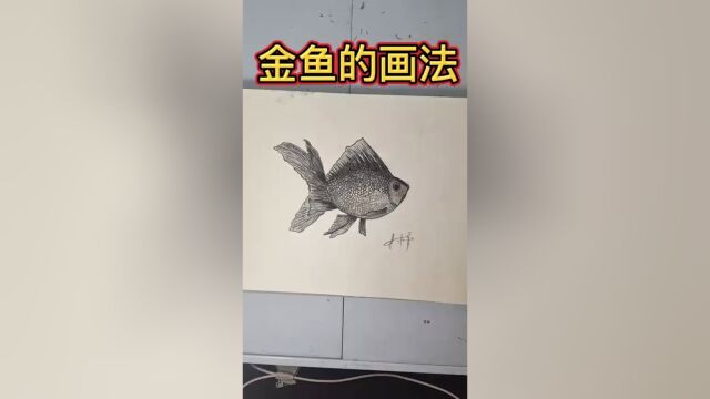 金鱼简化画法