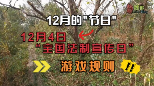 魏郡《12月的节日》12月4日“全国法制宣传日 ”,游戏规则