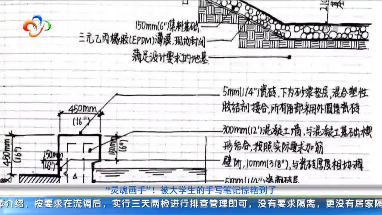 “灵魂画手”!被大学生的手写笔记惊艳到了