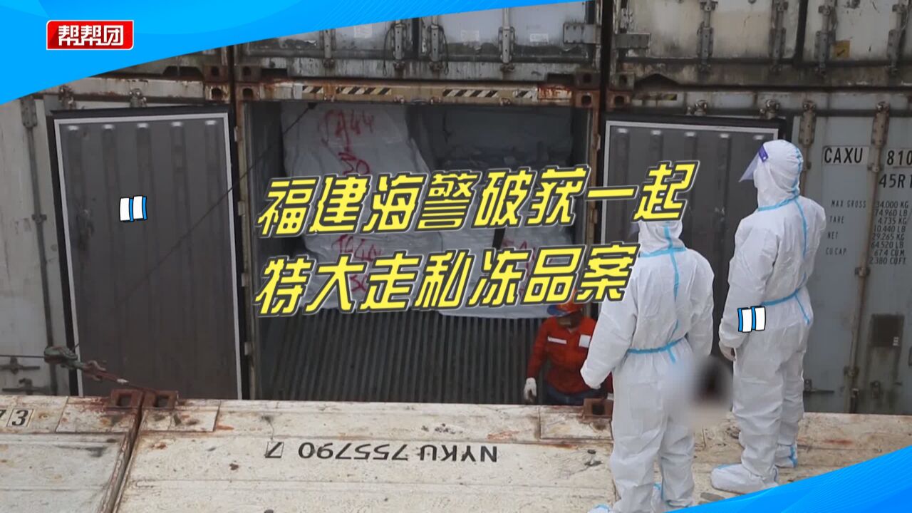 总案值约3600万!福建海警破获走私冻品案,抓获14名嫌疑人