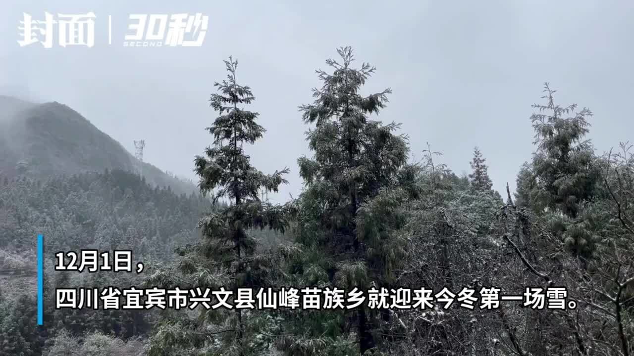 30秒|雪花飘落山间 四川宜宾兴文迎来今冬初雪