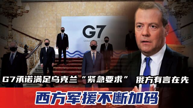 G7承诺满足乌克兰“紧急要求”