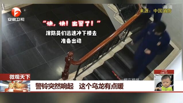 浙江宁波:消防站警铃突然响起,这个乌龙有点暖