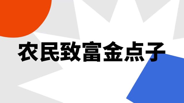 “农民致富金点子”是什么意思?