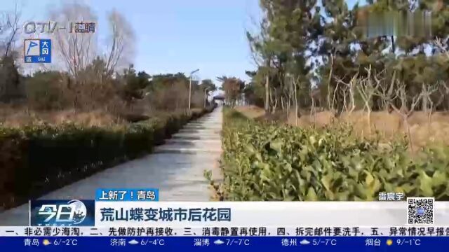 青岛峄山公园,荒山蝶变城市后花园,跟着记者一起来打卡