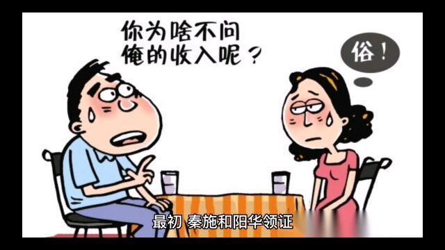 《爱的二八定律》大结局:先离婚,再复婚,秦施和阳华修成正果