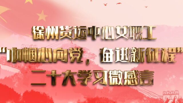 女职工“巾帼心向党、奋进新征程”二十大学习微感言