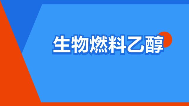 “生物燃料乙醇”是什么意思?