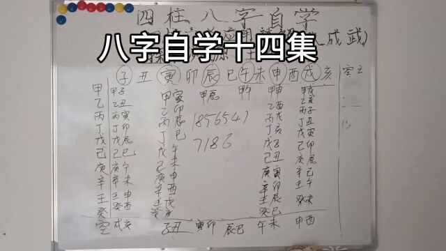 四柱八字自学十四