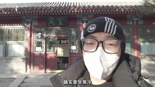 【视频】新年赏花去!国家一级保护植物紫毛兜兰现身北京冬季兰展