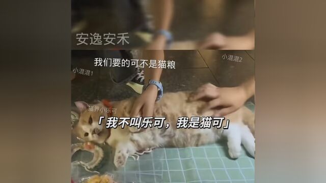 猫:怎么一起上吗……(安安只是个配音的……我没干副业) #安逸安禾 #声优都是怪物