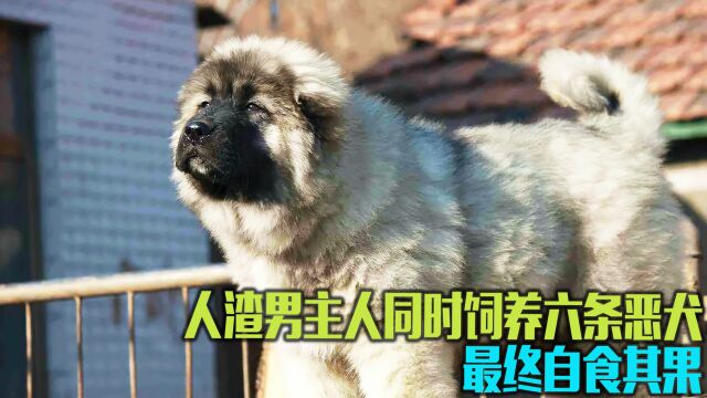 人渣男主人同时饲养六条恶犬,最终自食其果