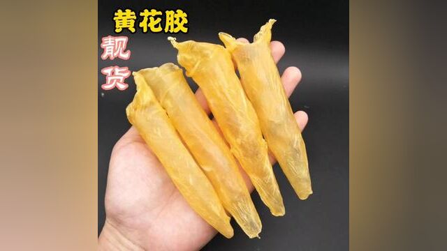 深海咸水黄花胶110头鱼胶100 g500 g深海鱼胶#黄花胶 #花胶炖汤 #花胶养颜 #滋补鱼胶