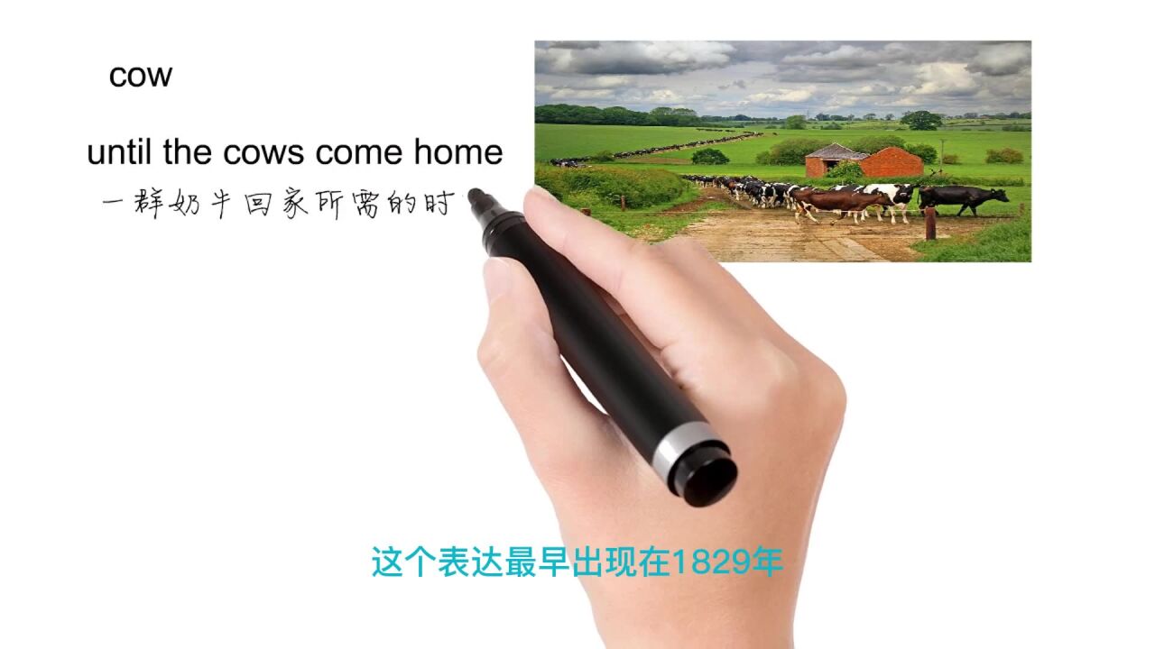 英语思维解密,为什么until the cows come home表示很长一段时间无限期,轻松学英语