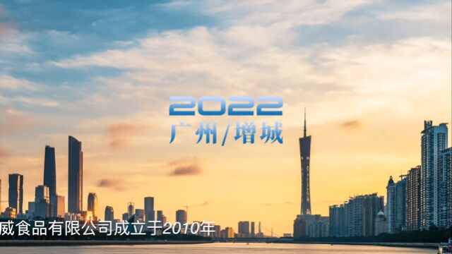 2022凌威简介4K全片