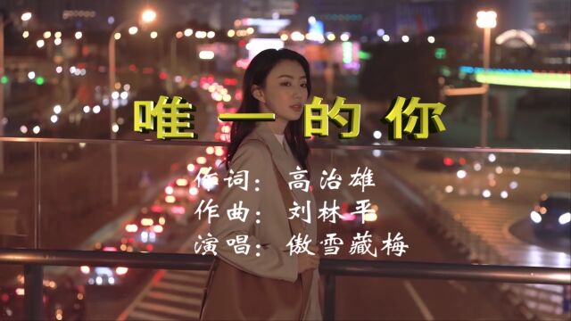 唯一的你 作词:高治雄 作曲:刘林平 演唱:傲雪藏梅 视频:王娟原创音乐工作室