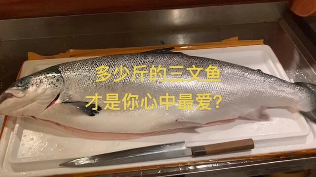 第二集,三文鱼怎么选与详细分解教程#和谷料理屋 #寿司小白上路