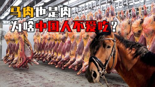 全球每年屠宰470万匹马，为啥中国人不爱吃马肉？难道是不好吃？