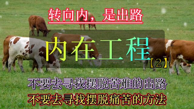 内在工程:摆脱苦难的出路,摆脱痛苦的方法,其实都在你内心深处