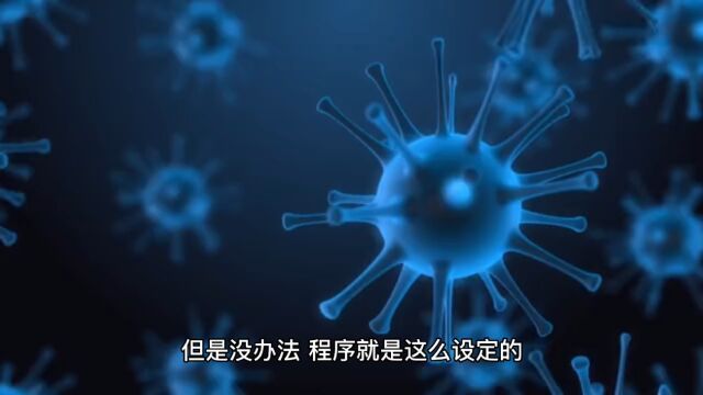 呆萌的“淋巴系统”,是如何高效工作的?