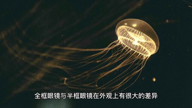 为什么全框眼镜比半框显年轻?