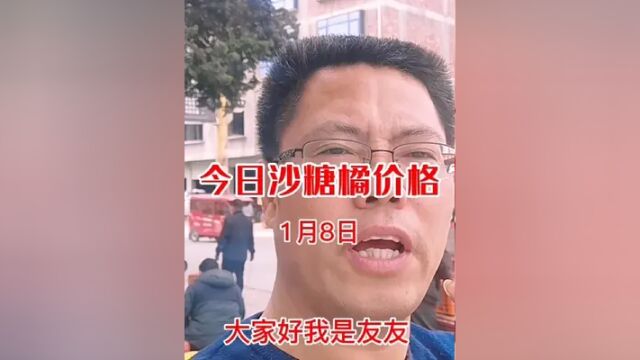 持续关注沙糖橘价格行情(1.8)#沙糖桔 #砂糖橘 #鲜果 #水果市场 #丰收季